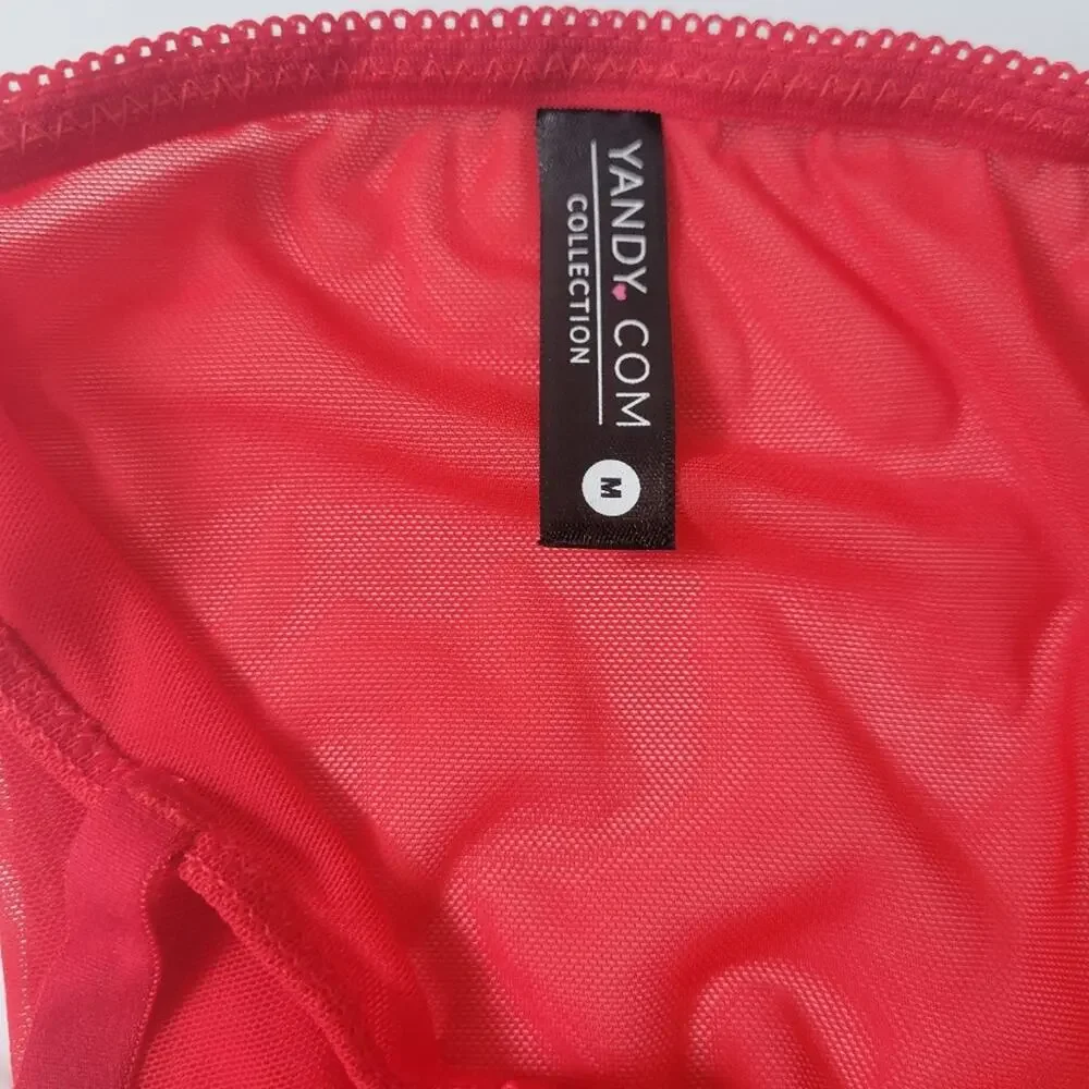 Yandy Red Applique Mesh Panty With Strappy Sides and Cheeky Cut Back Size M NWT-
